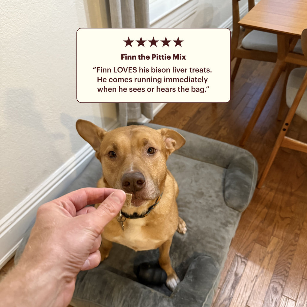 Dog sitting  being offered a treat by a hand, with a five-star rating text overlay that says Finn LOES his bison liver treats. He comes running immediately when he sees or hears the bag. 