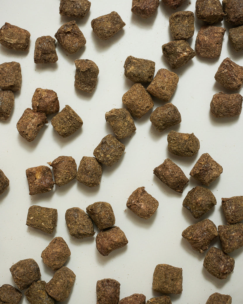 Dog treat pellets scattered on a white surface