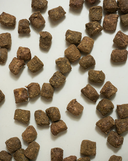 Dog treat pellets scattered on a white surface