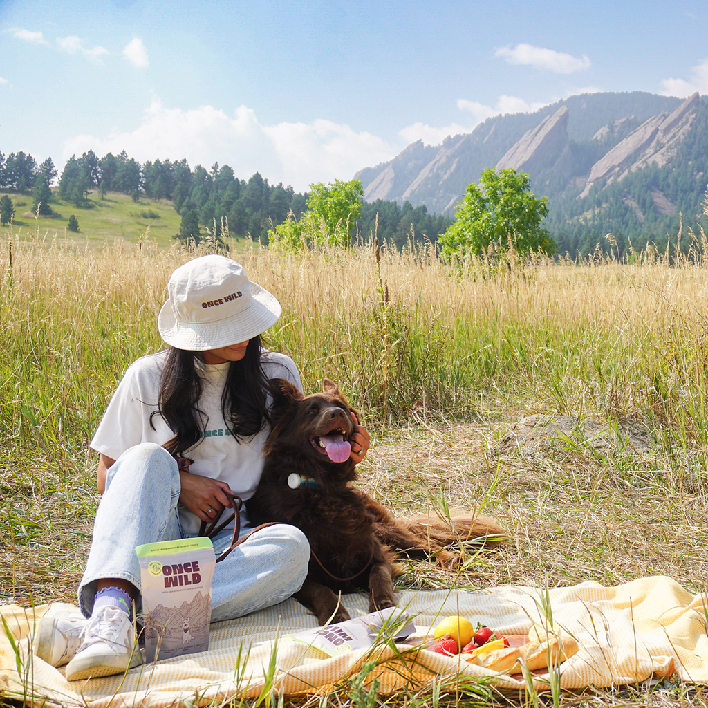Woman sitting on a blanket with a dog in a grassy field with mountains in the background