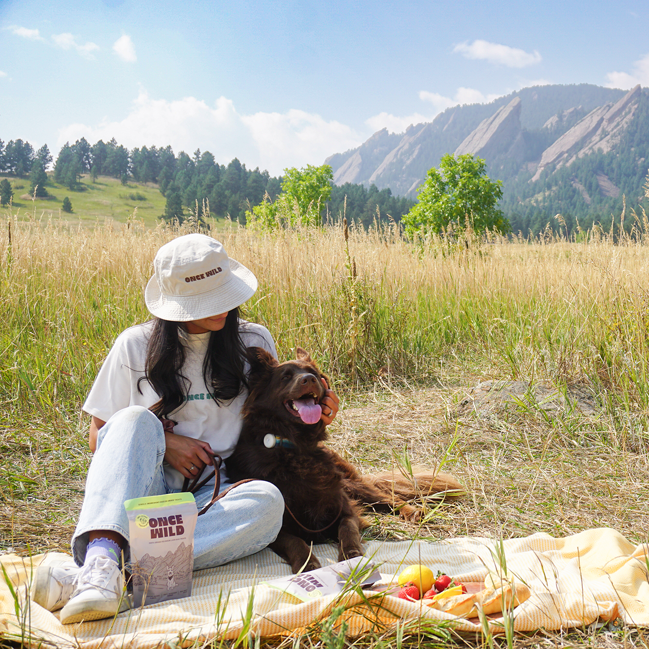 Woman sitting on a blanket with a dog in a grassy field with mountains in the background
