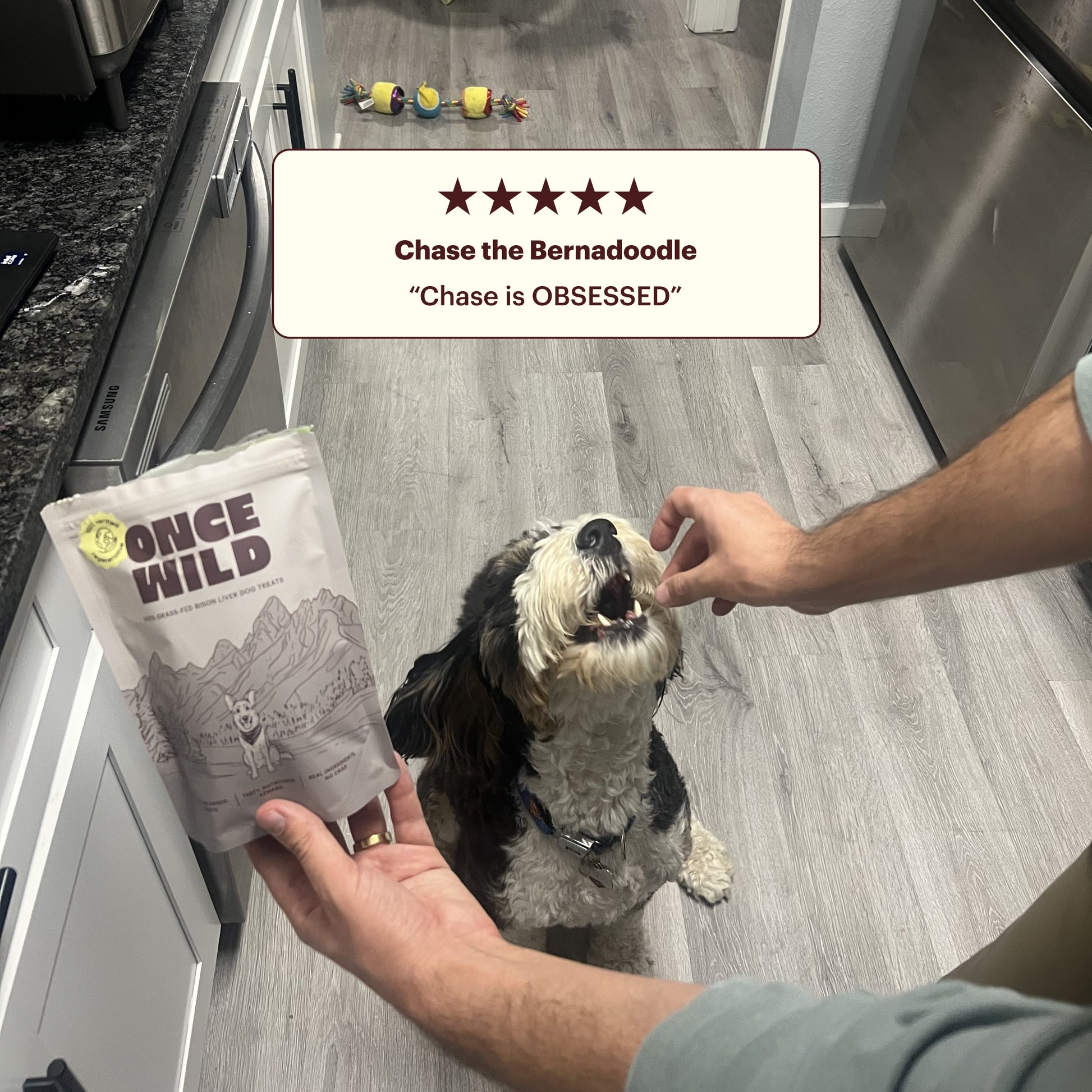 The Once Wild Starter