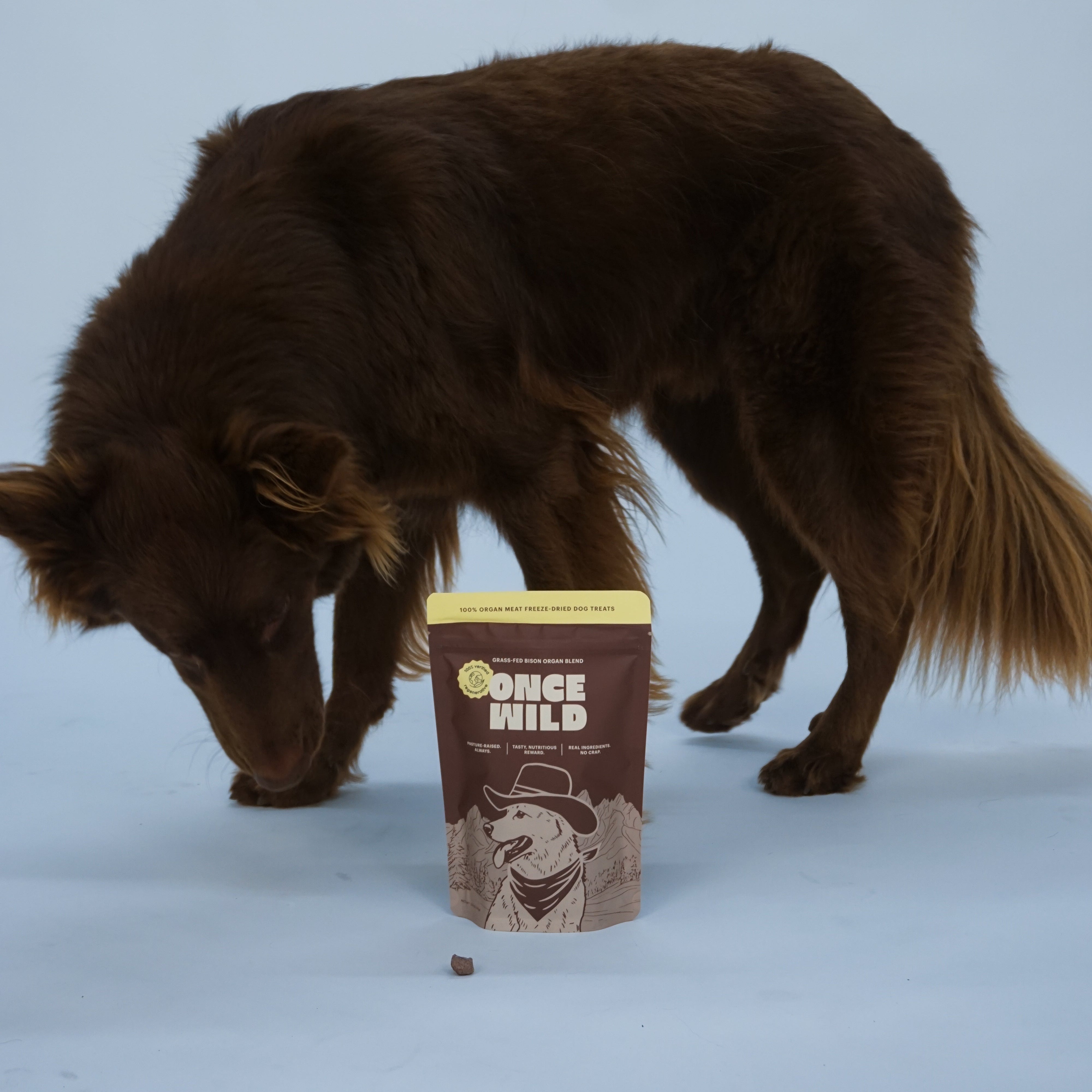 Dog sniffing a package of Once Wild pet food on a light blue background