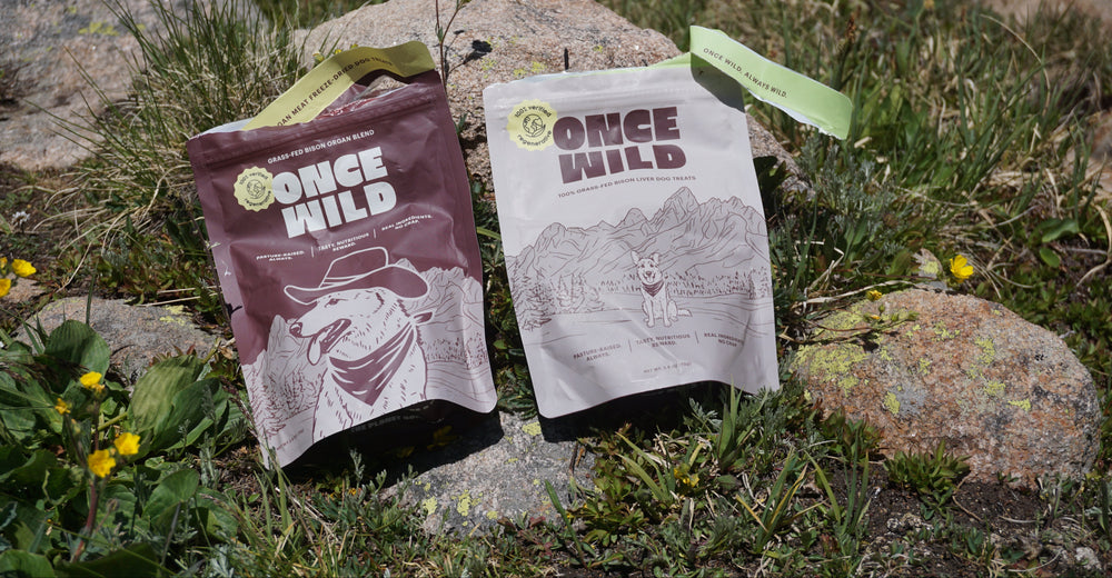 Two pouches of Once Wild dog food placed on rocks in an outdoor grassy setting. One pouch is dark brown with a cowboy illustration and the other is off-white with a mountain illustration.