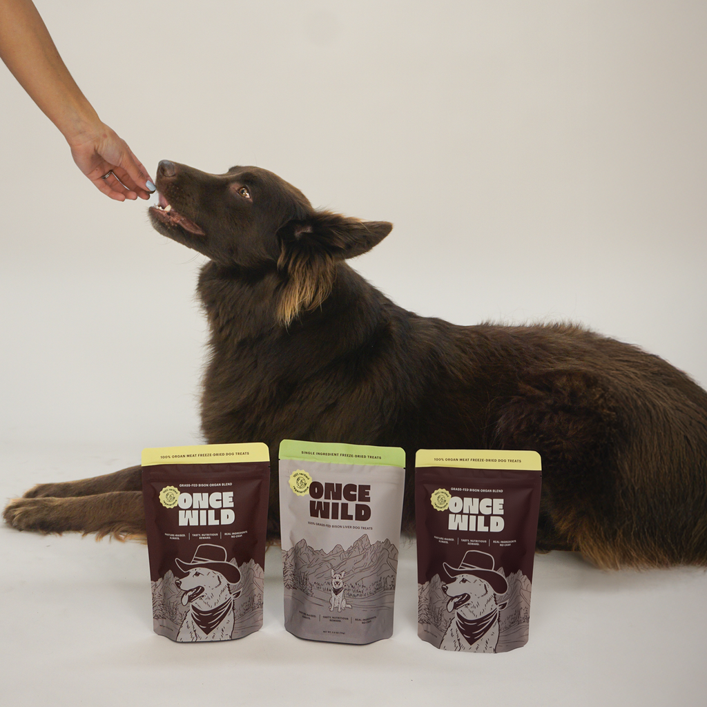 Dog eating from a person's hand with Once Wild dog treat packages on a white background