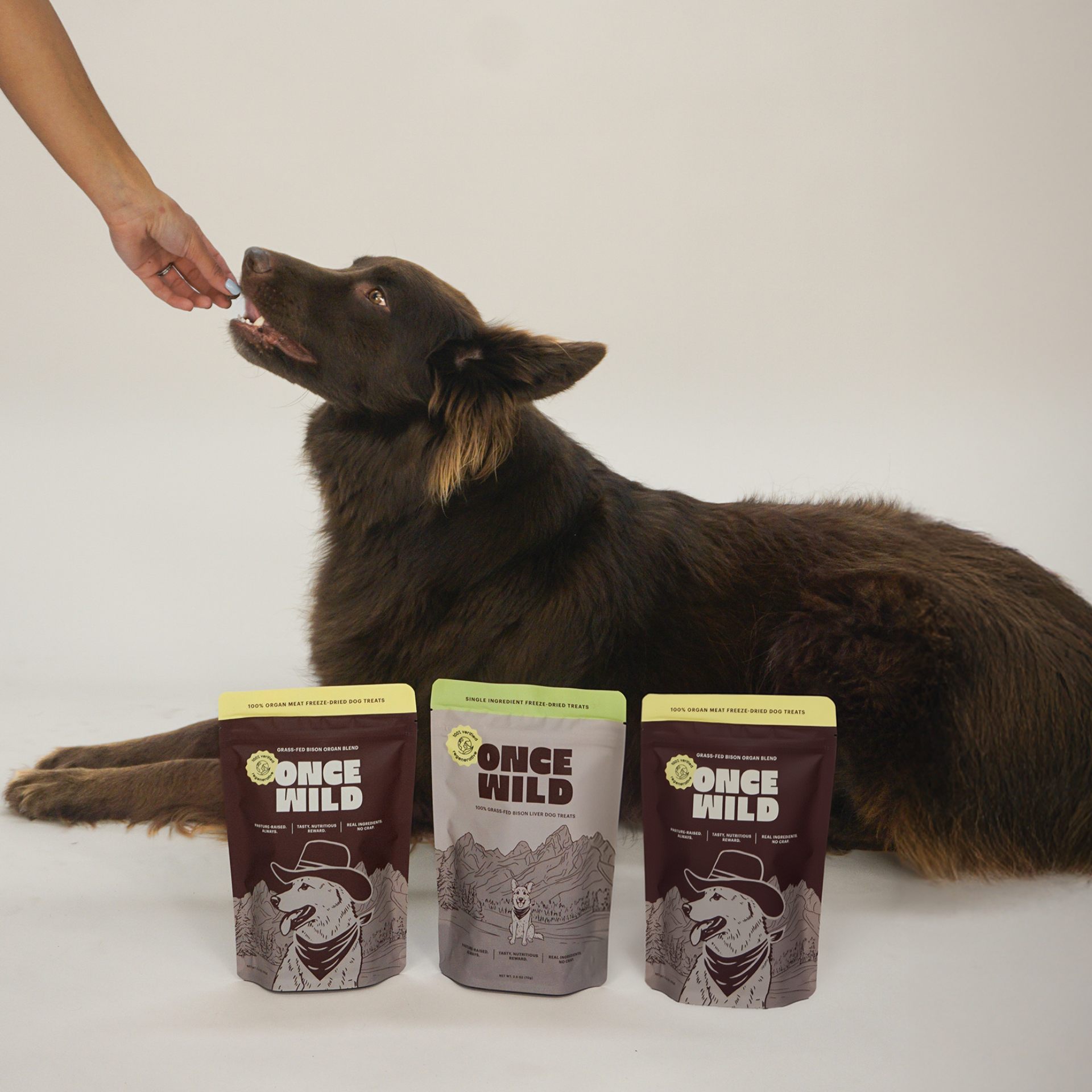 Dog eating from a person's hand with Once Wild dog treat packages on a white background