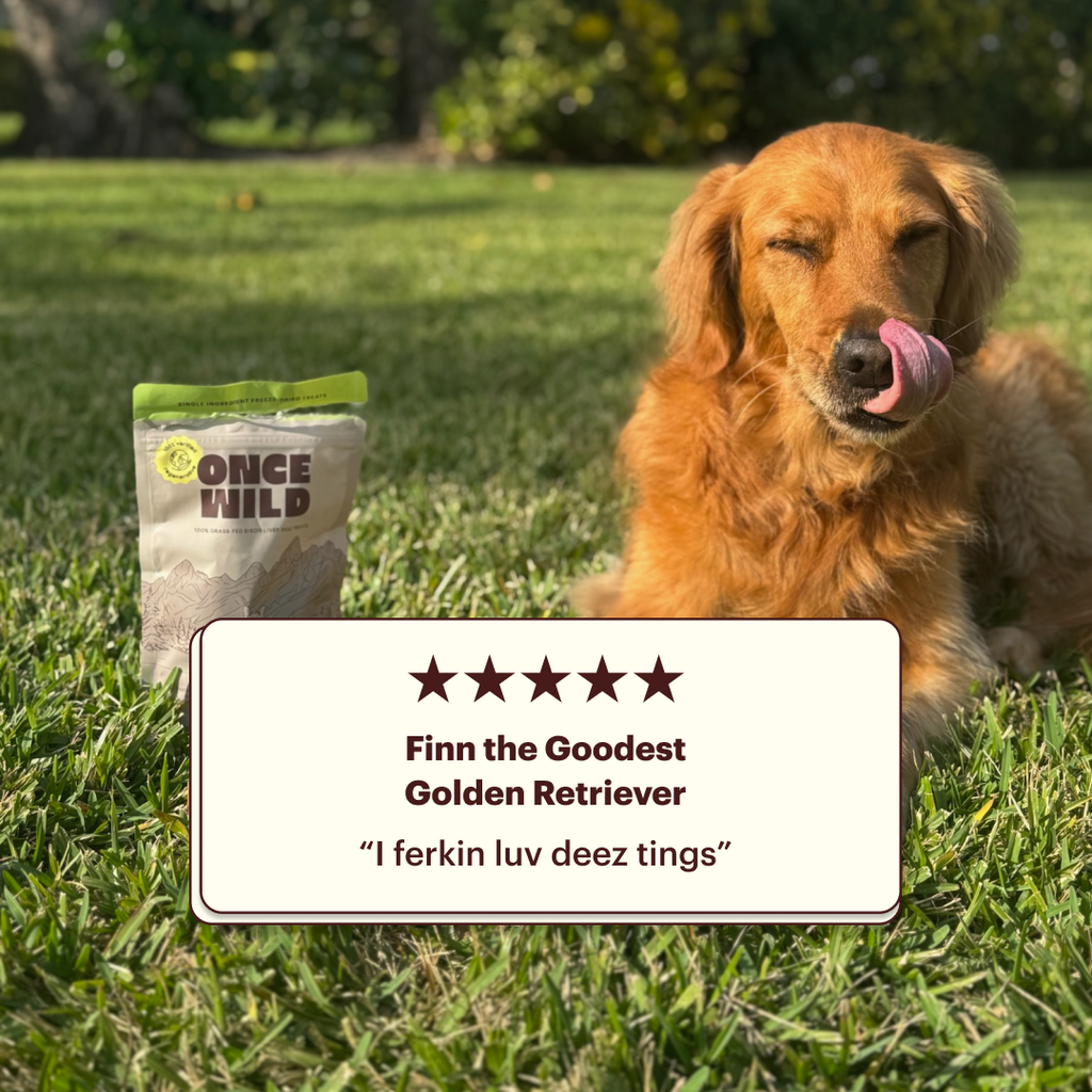 The Once Wild Starter