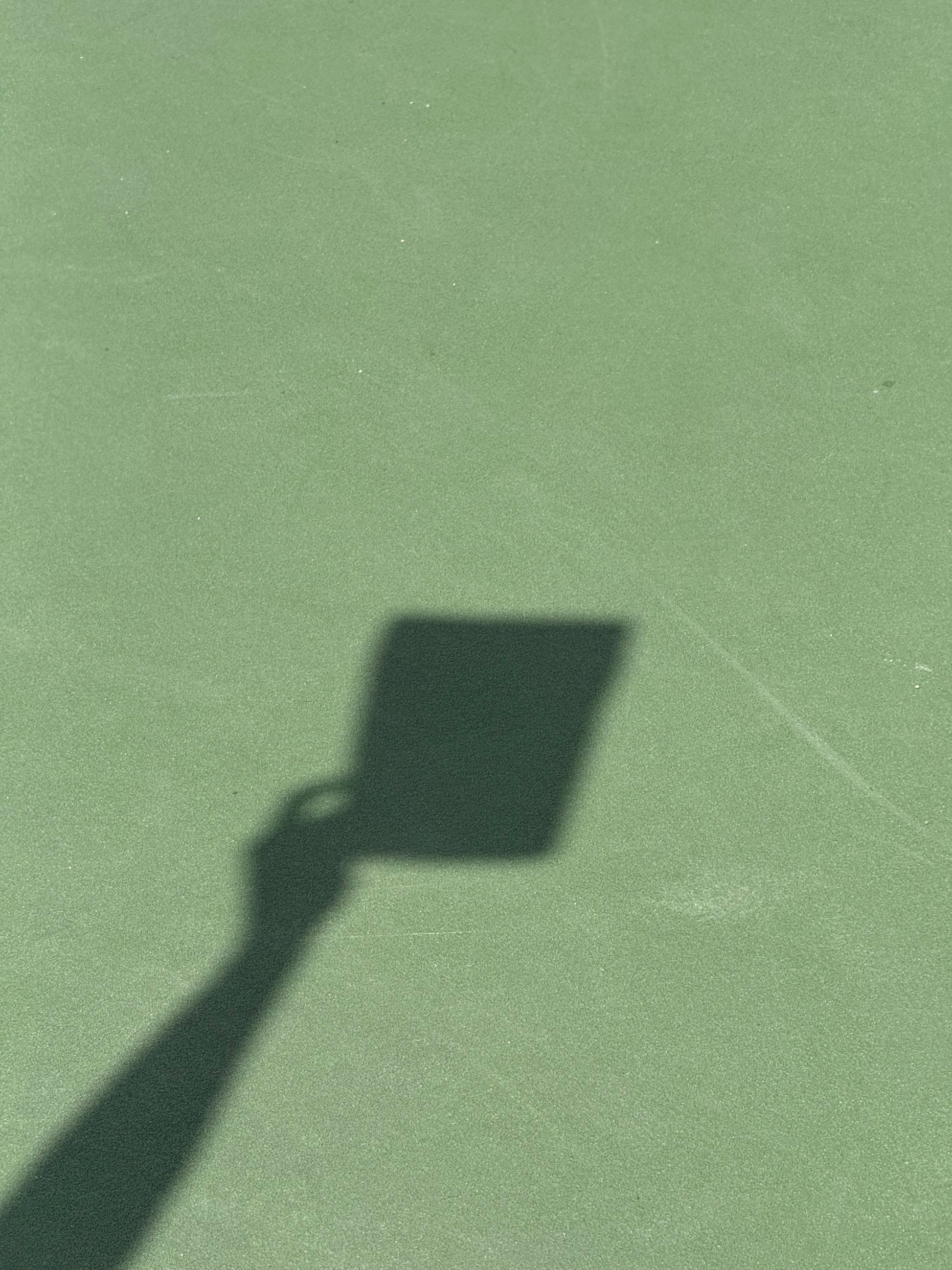 Shadow of a hand holding a pack of treats on a green surface