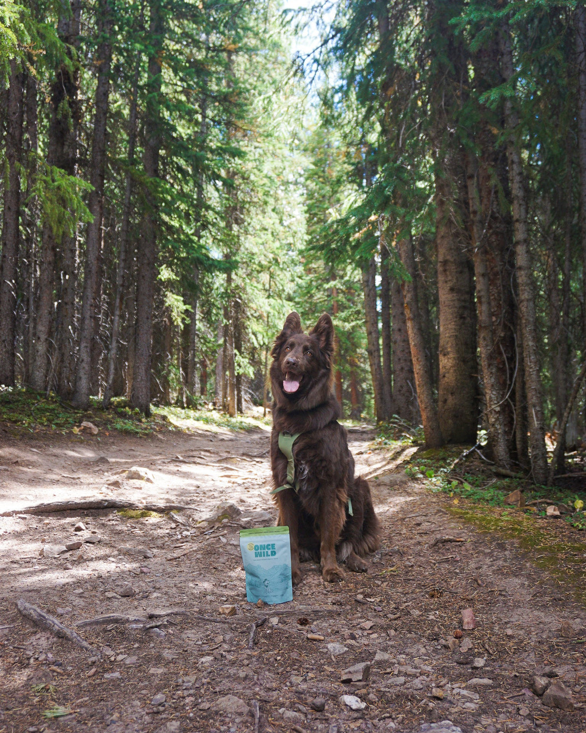 100% Beef Liver Treats