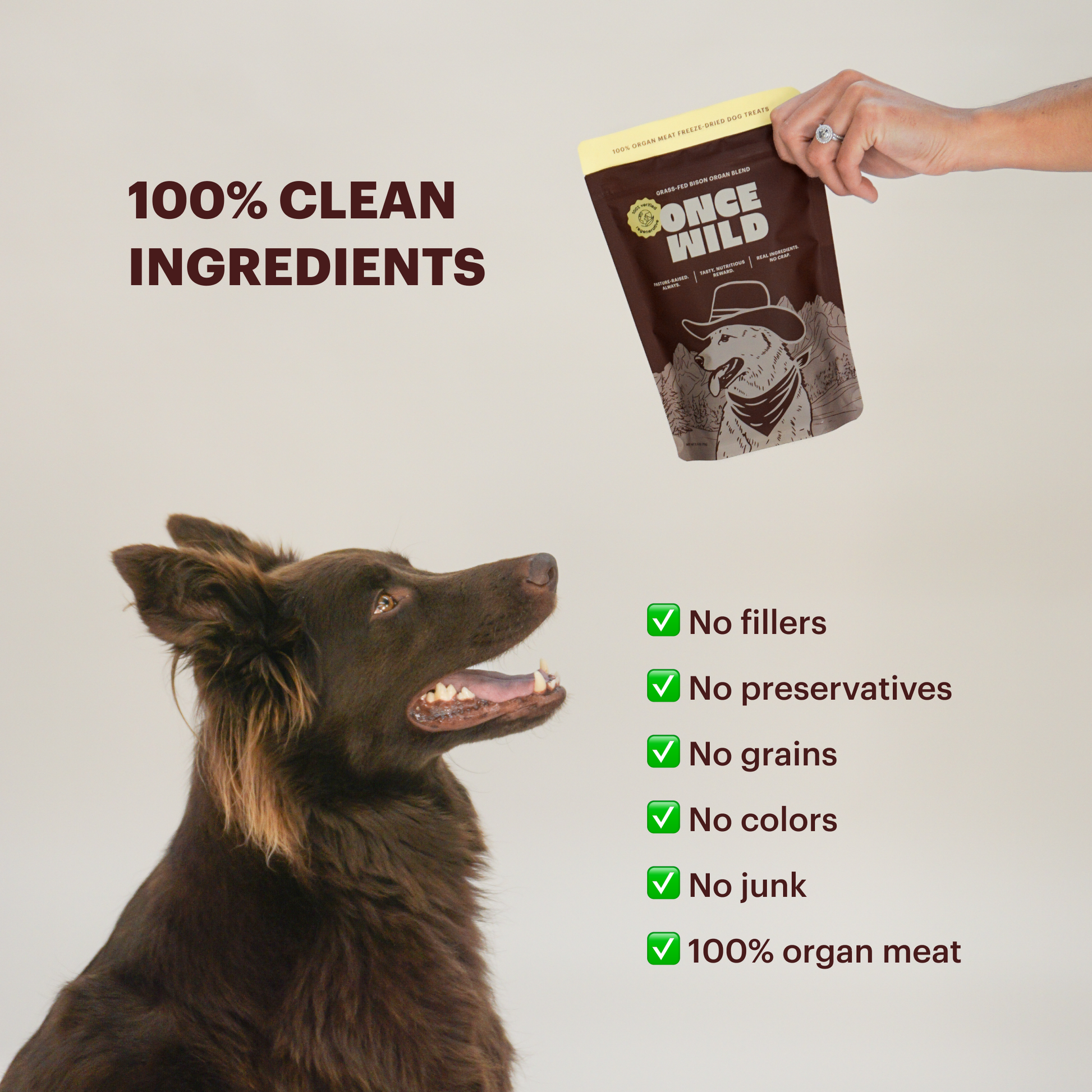 The Once Wild Starter