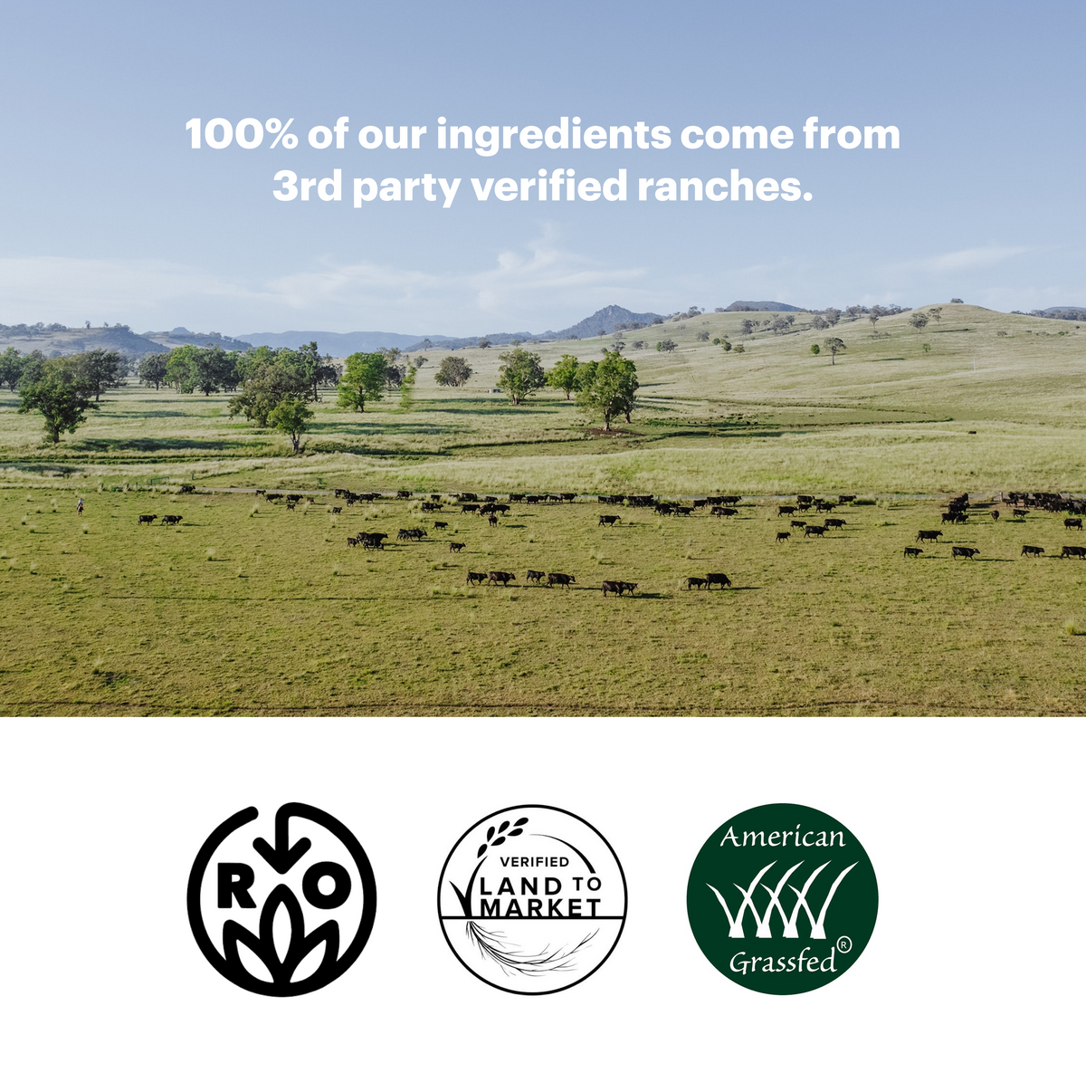 100% Beef Liver Treats