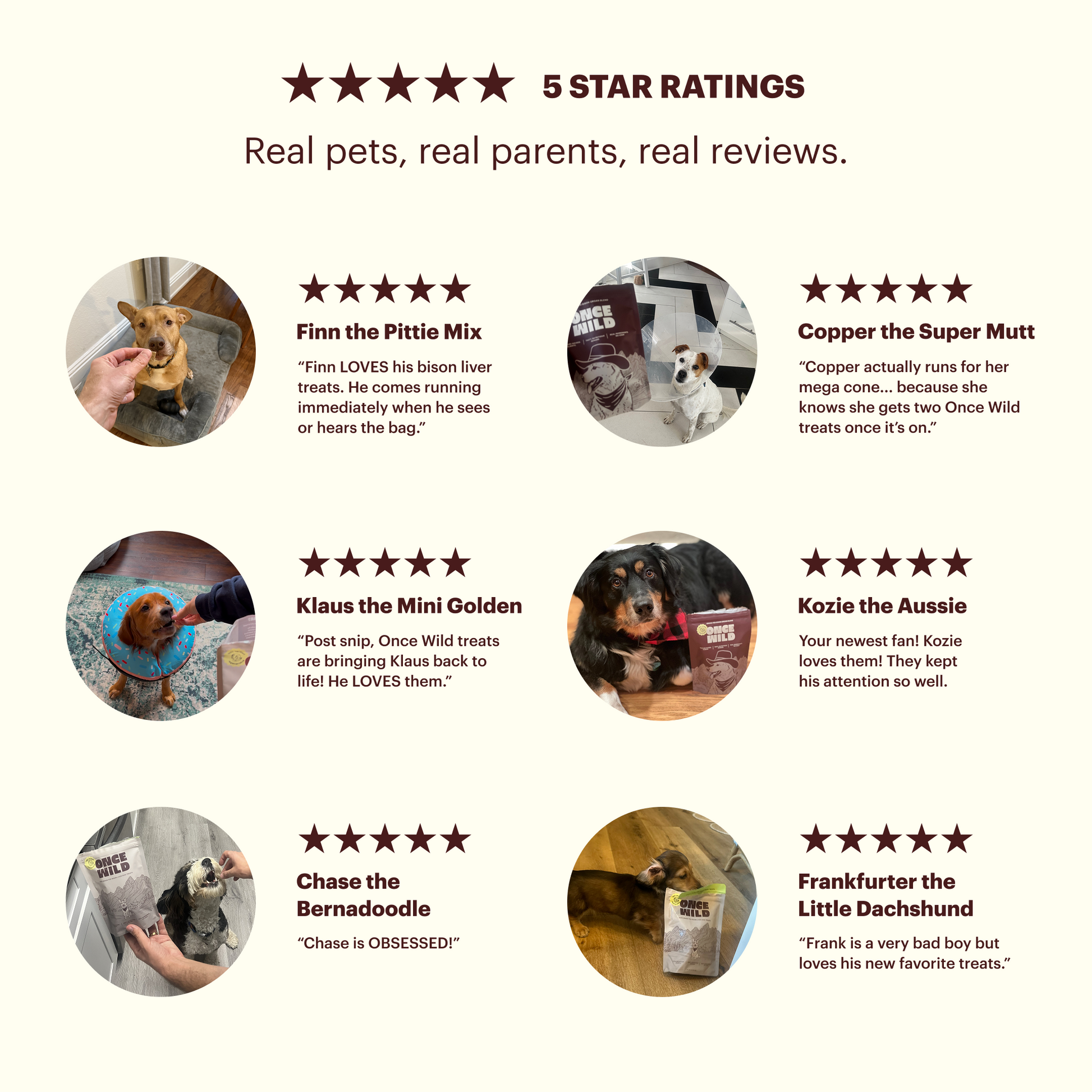 The Once Wild Starter