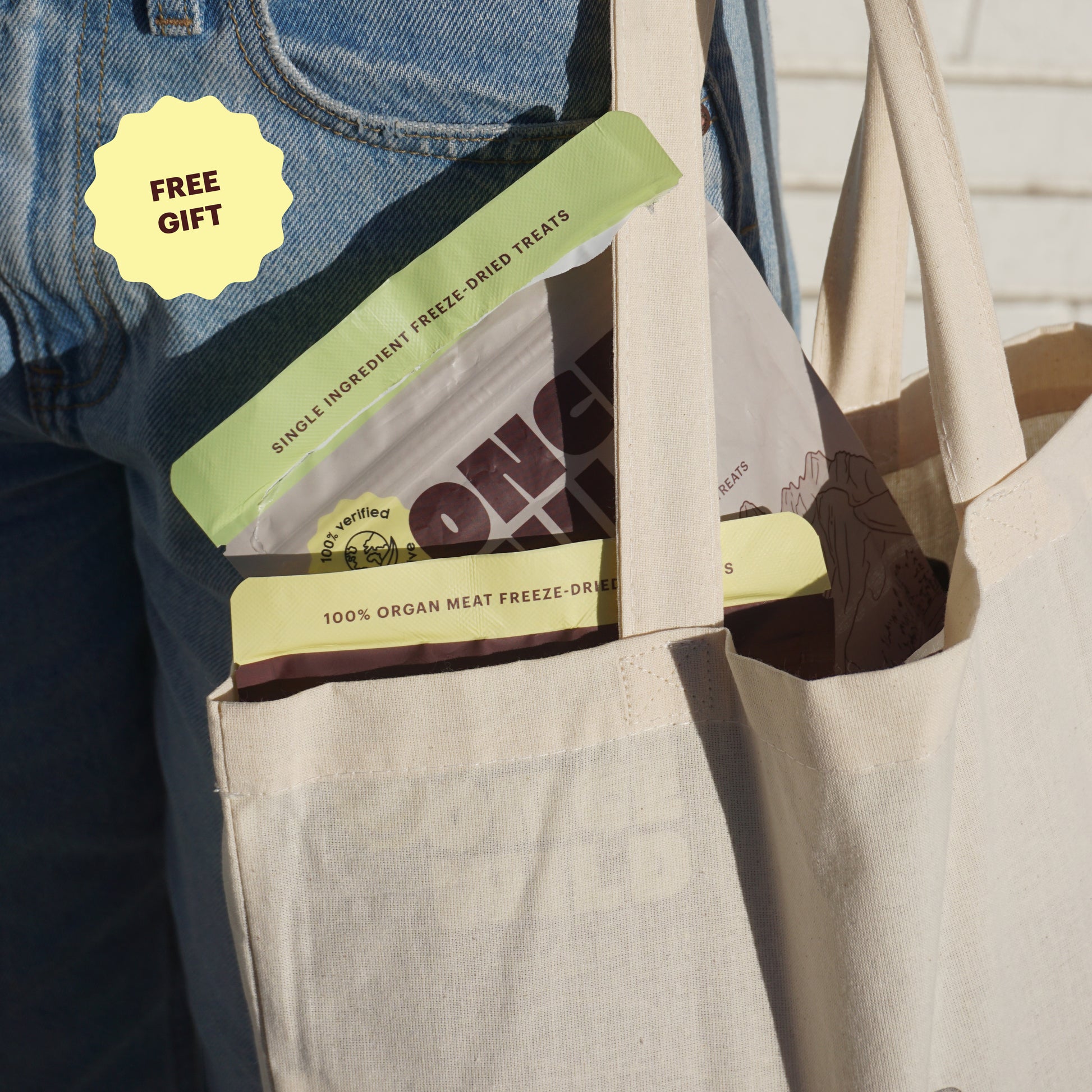 The Once Wild Starter