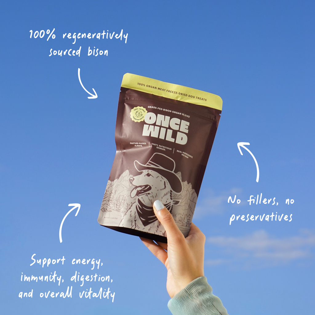 The Once Wild Starter